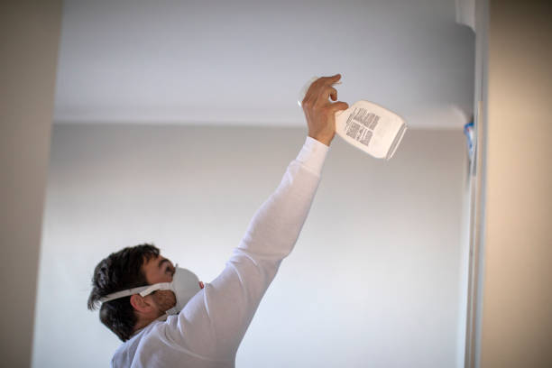 Best Residential Mold Removal  in Salem, SD