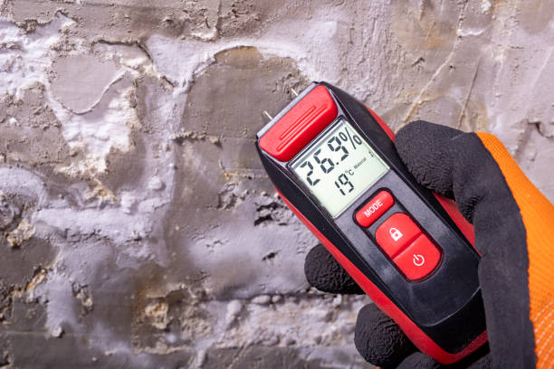 Best Water Damage Restoration  in Salem, SD