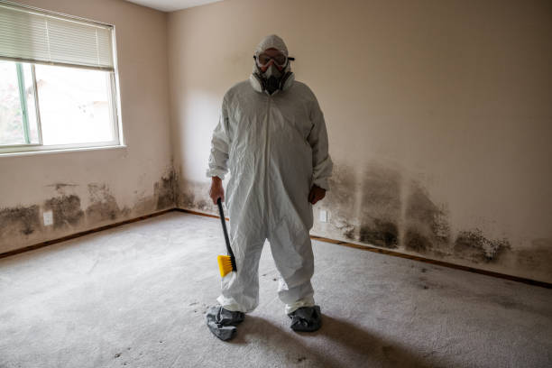 Best Mold Testing  in Salem, SD
