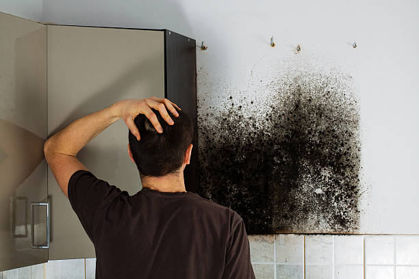 Best Mold Removal Process  in Salem, SD